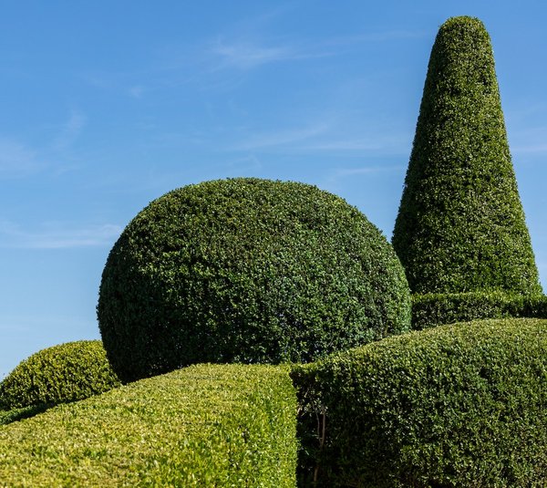 Les meilleures idées d'aménagement extérieur pour votre maison à Arcachon