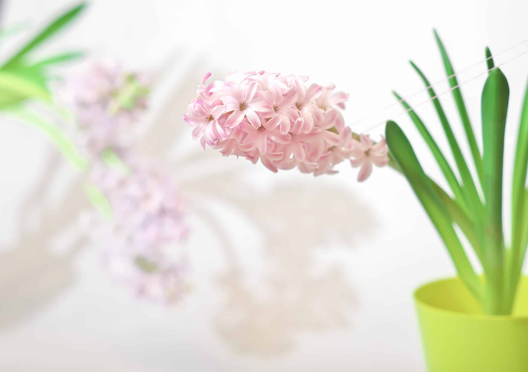 Quels sont les avantages de l’utilisation d’un pot de fleurs pratique ?